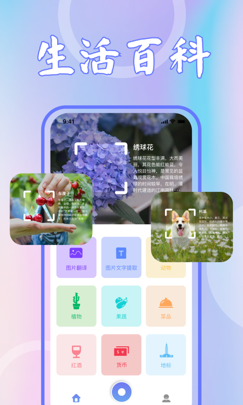識花君