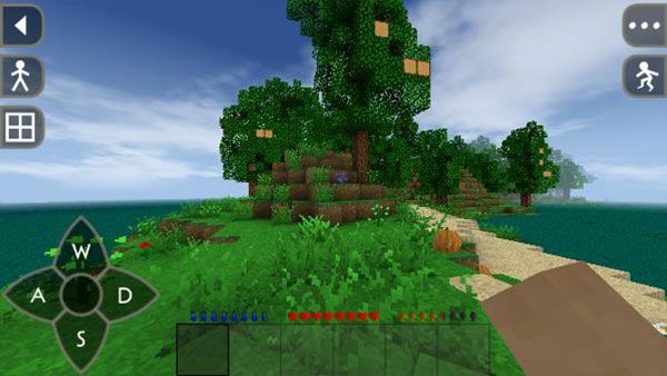 生存戰(zhàn)爭2聯(lián)機版(Survivalcraft 2)