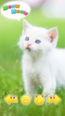 動物聲音博物館(Snapimals)