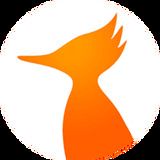 火鳥影視