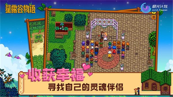 星露谷物語手機版(Stardew Valley)