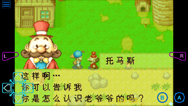 牧場(chǎng)物語(yǔ)礦石鎮(zhèn)的伙伴們