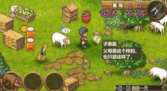 歡迎來(lái)到綿羊村