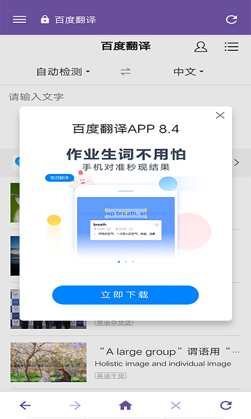 雙核瀏覽器