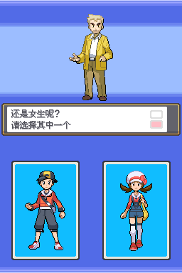 口袋妖怪魂銀漢化版