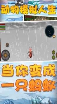 模擬動(dòng)物人生