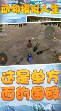 模擬動(dòng)物人生