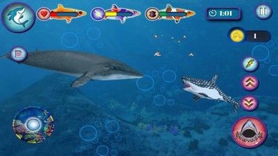 深海狂鯊