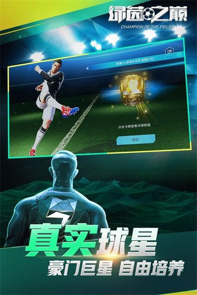 綠茵之巔