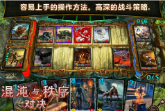 混沌與秩序?qū)Q內(nèi)購(gòu)
