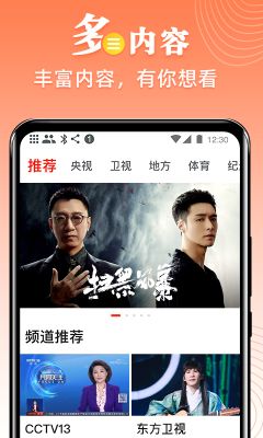 愛看電視TV
