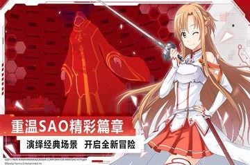刀劍神域黑衣劍士王牌