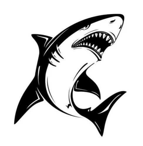 鯊魚tv彈幕版