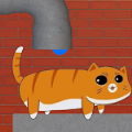 貓穿管道(CAT VS PIPE)