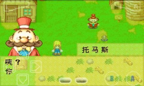 牧場(chǎng)物語(yǔ)女孩版