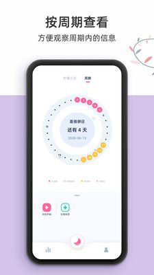 檸檬小月手機版