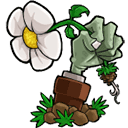 植物大戰(zhàn)僵尸lz重制版(lzscpvz)