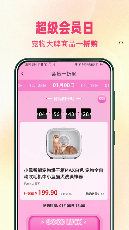 寵飯