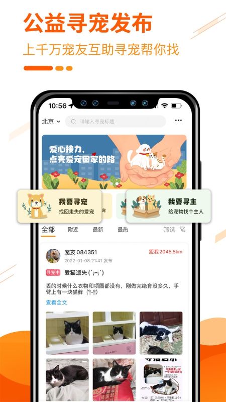 人人寵