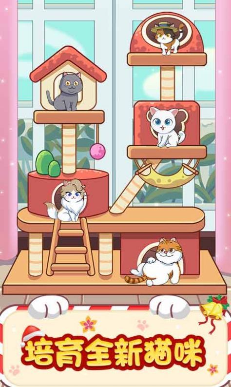 貓咪房東