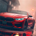 駕駛學(xué)校模擬漢化版(Driving School Sim)