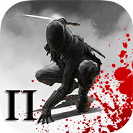 死亡忍者陰影2(ninja2)