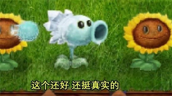 植物大戰(zhàn)僵尸寫實版(PvZ Real Life Mod )