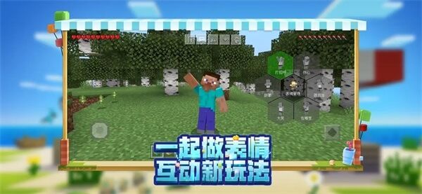 minecraft基巖版(Minecraft)