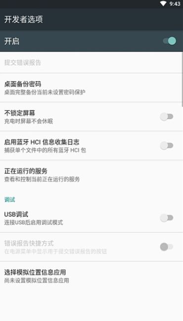 開發者選項(Developer Options)