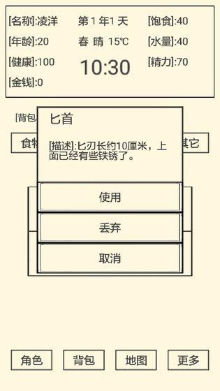 流浪人生2命運