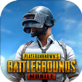 蜂蜜柚子pubg國體直裝