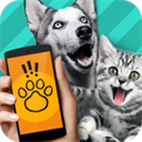 動物翻譯器手機版(Pet Translator)