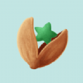 開(kāi)星果