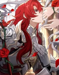 崩壞星穹鐵道銀枝怎么配對