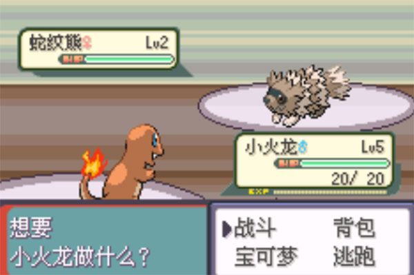 口袋妖怪傳說綠寶石