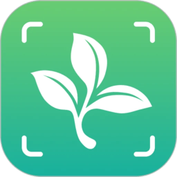 植物大師