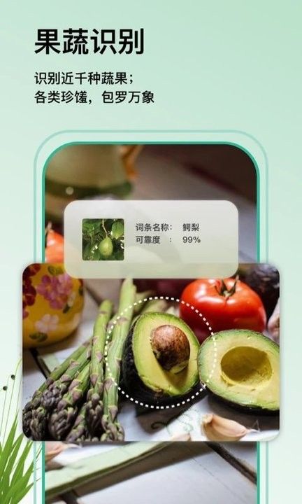 植物大師