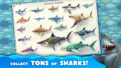 饑餓鯊世界國際版(Hungry Shark)