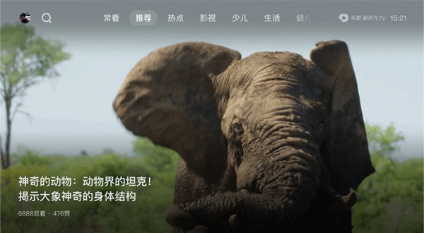 西瓜視頻電視版
