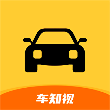 車知視