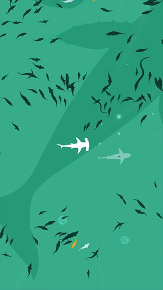深海魚群(Shoal of fish)