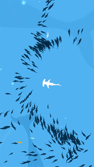 深海魚群(Shoal of fish)
