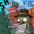 植物大戰(zhàn)僵尸SH版