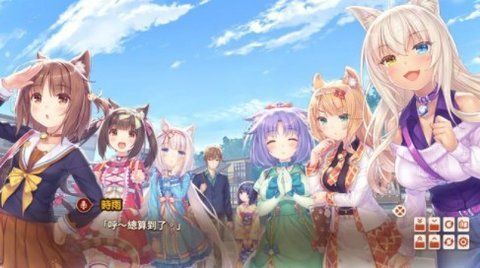 貓娘樂園(貓娘樂園nekopara)