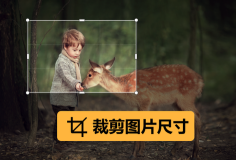 在線裁剪圖片尺寸