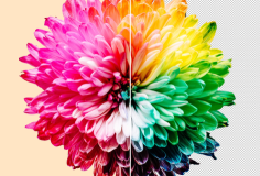 在線圖片去底色工具