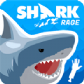 鯊魚之怒(Shark Rage)
