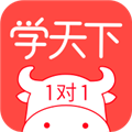 學天下1對1