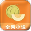 甜瓜小說