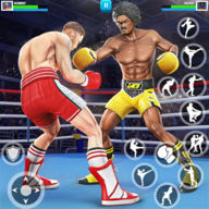 拳擊比賽跆拳道(Punch Boxing)
